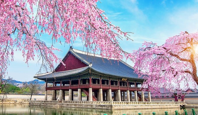 Tour Hàn Quốc Ngắm Hoa Anh Đào: Seoul - Nami - Everland - Công viên Yeouido Bay Vietnam Airlines